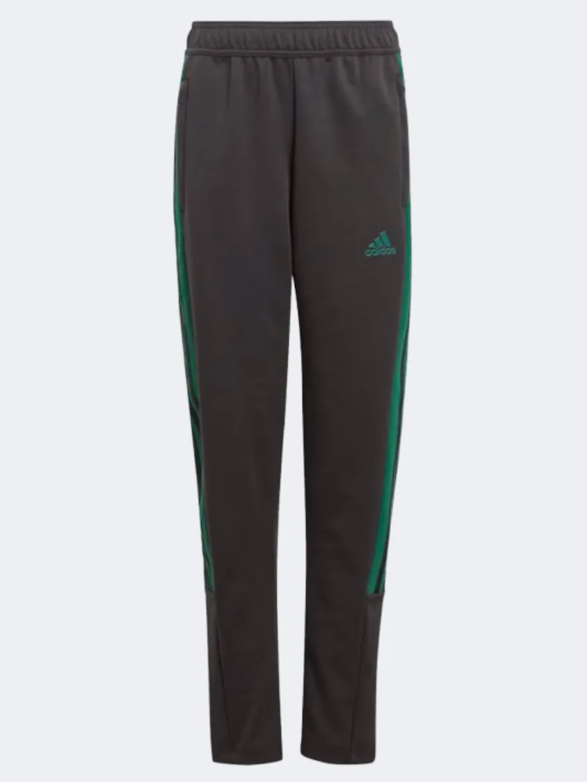 Adidas Hot Tiro Kids-Unisex Sportswear Pant Black/Green