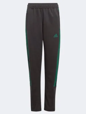 Adidas Hot Tiro Kids-Unisex Sportswear Pant Black/Green