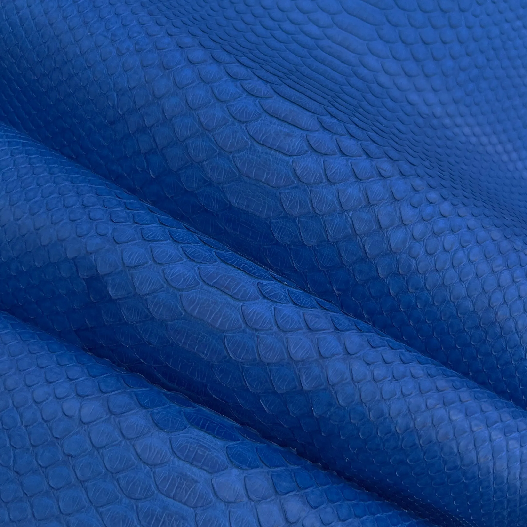 Python Matte | Electric Blue | Long Tail Back Cut